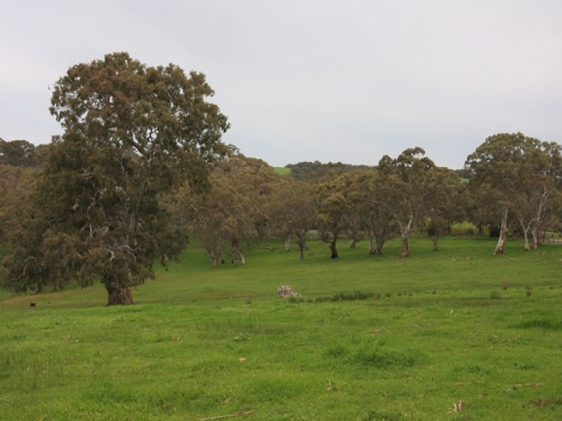 Lot 2 Nyoka Road, Macclesfield, SA 5153 Property Details