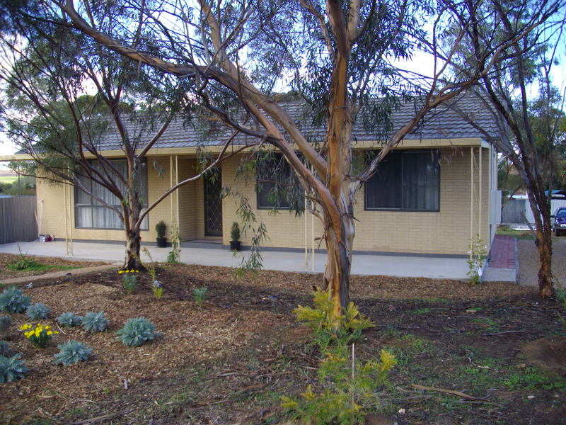 49 Ash Crescent, Gladstone, SA 5473 Property Details