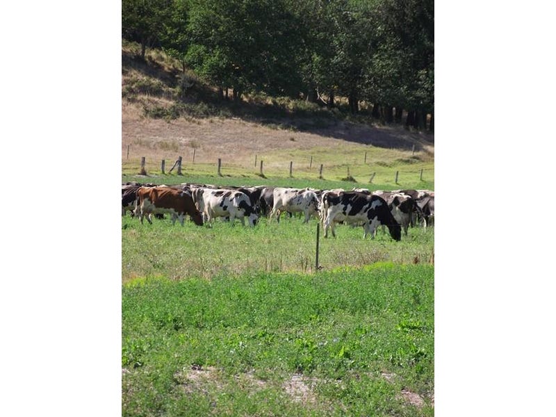 3A Wallman Street, Yankalilla, SA 5203