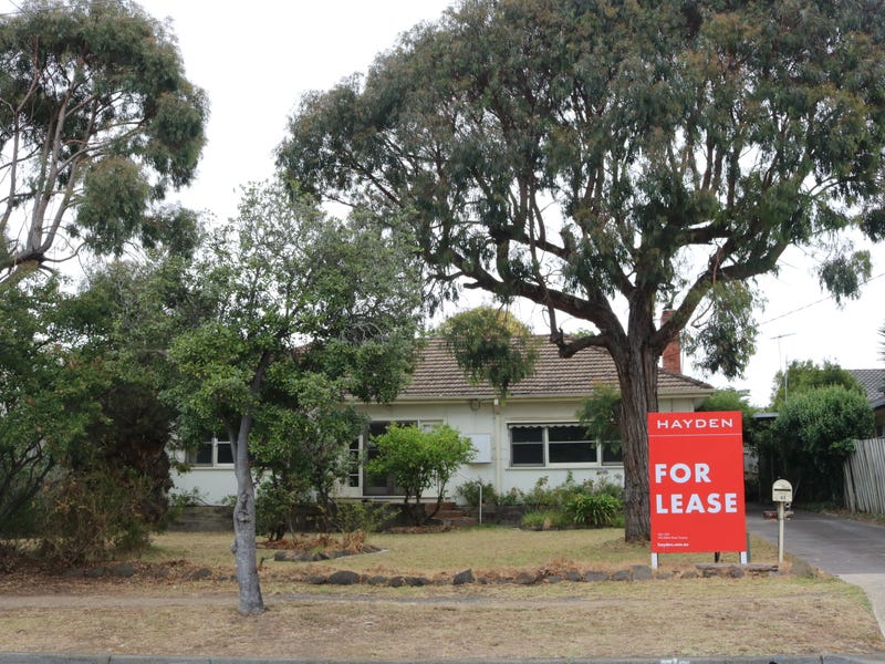 41 Fischer Street, Torquay, VIC 3228