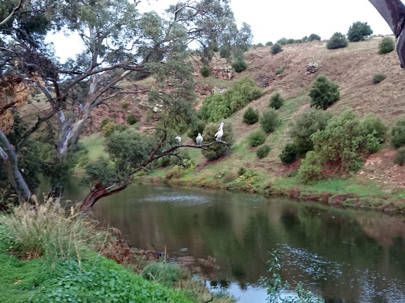 29 Paringa Parade, Old Noarlunga, SA 5168