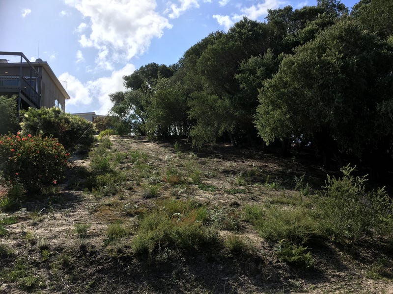 117 Toorak Avenue, Loch Sport, VIC 3851