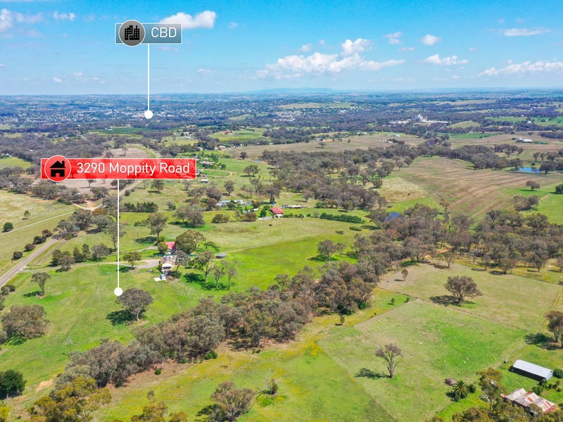3290 Moppity Road, Young, NSW 2594 House for Sale