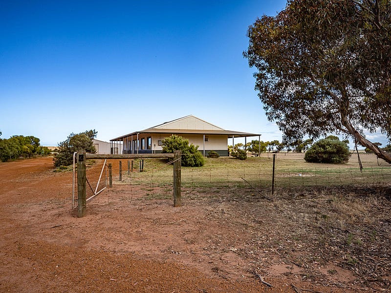 4 Meadow Lane, Walkaway, WA 6528 - realestate.com.au