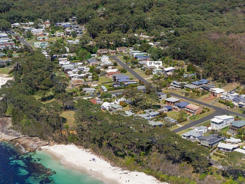 37 Tulip Street Hyams Beach Nsw 2540 Realestate Com Au