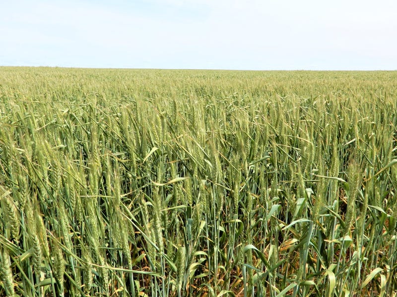 Real Estate & Property for Sale in SA (+1 location) Pg. 58 realestate