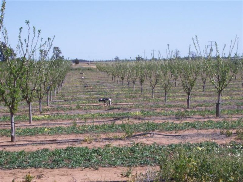 Coleambally, NSW 2707 Property Details