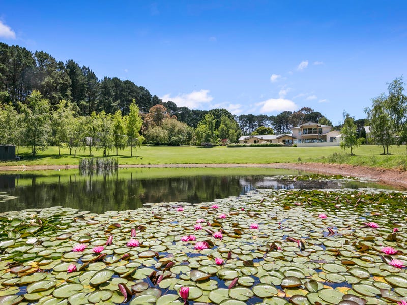 Real Estate & Property for Sale in Shoreham, VIC 3916