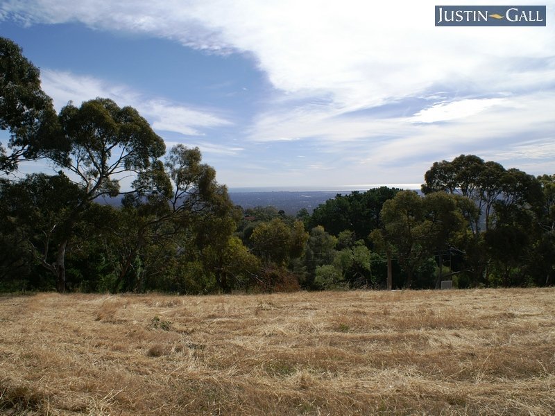 7 Teringie Drive, Teringie, SA 5072