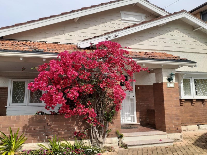 Houses for Sale in Earlwood, NSW 2206 Pg. 2