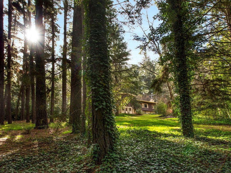 10 Kemp Road, Aldgate, SA 5154 Property Details