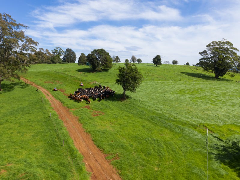 106 Harveys Road, Dorrigo, NSW 2453 Property Details