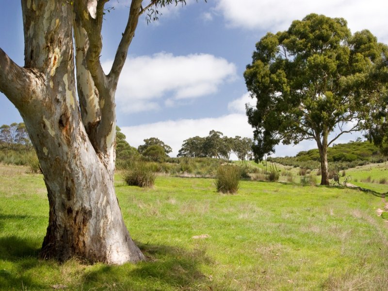 Lot 2 Blackmore Road, Ashbourne, SA 5157 Property Details