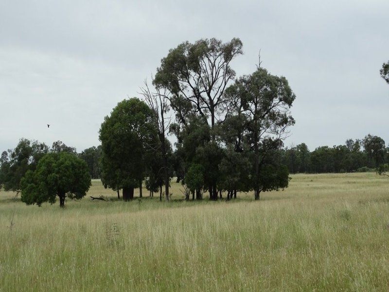 Lot 41 Surcingle Road, Chinchilla, Qld 4413 - Property Details