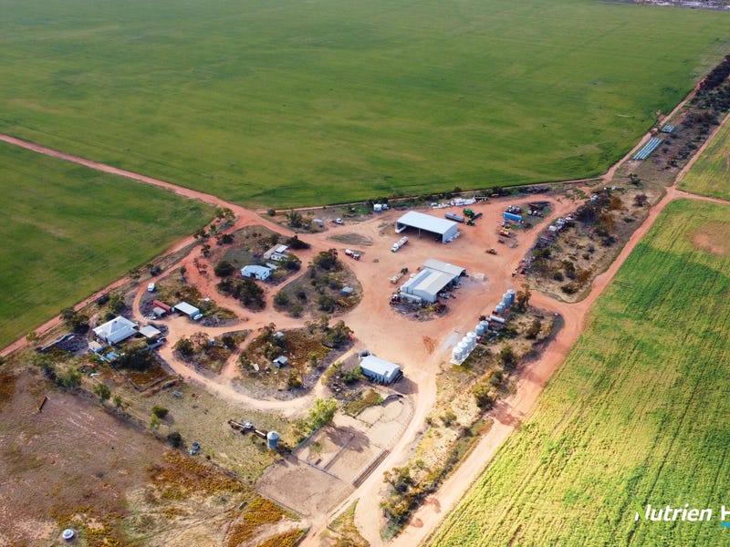 . 'Marlow', Koorda, WA 6475 Cropping for Sale