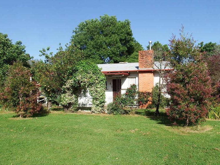 3 Tulip Street, Violet Town, VIC 3669