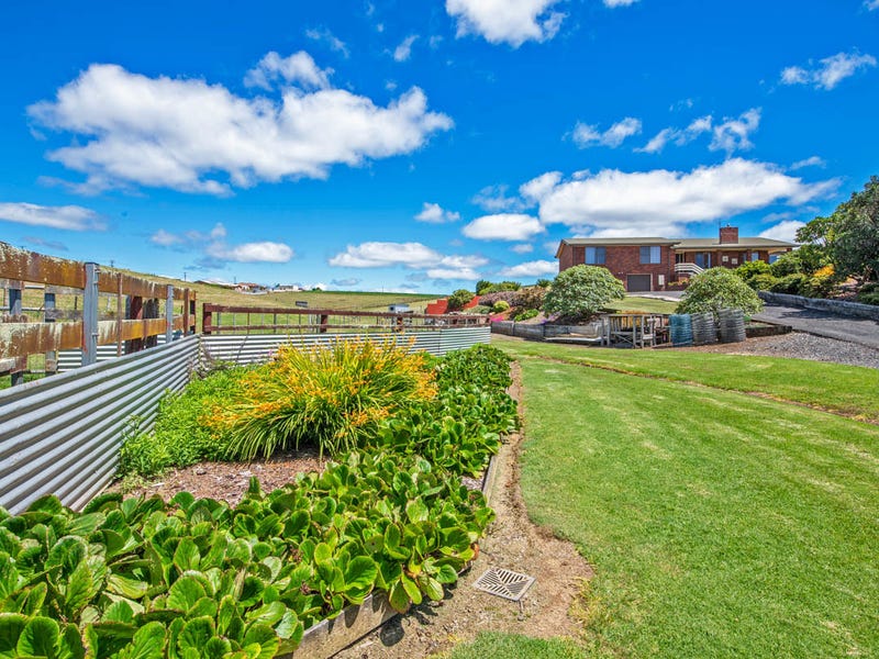 42 Pine Road, Penguin, TAS 7316