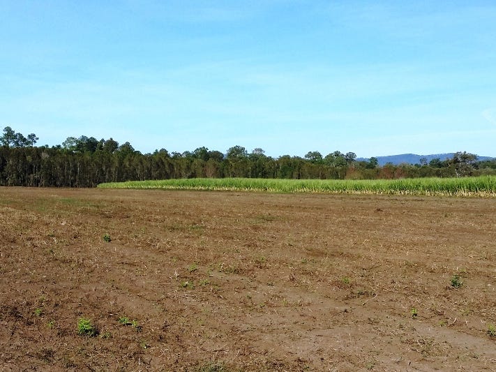 496 Norwell Road, Norwell, QLD 4208