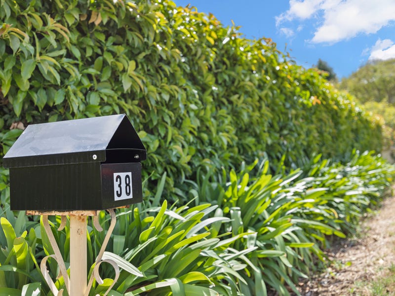 Acreage For Sale In Muswellbrook at Clint Murphy blog