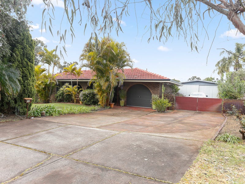 36 Brockmill Avenue,, Beechboro, WA 6063 House for Sale realestate