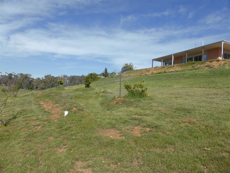 3012 Jingellic Road, Lankeys Creek, Holbrook, NSW 2644 House for Sale