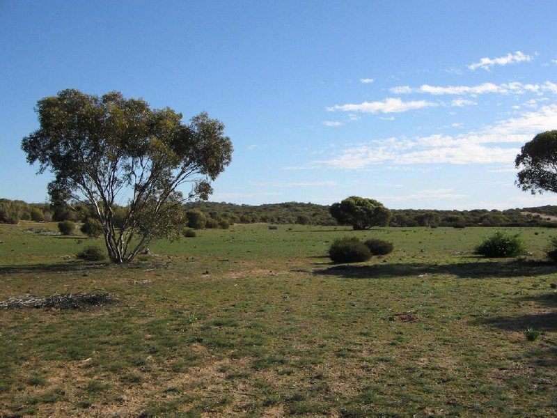 WirhaHills . Alawoona Rd, Lameroo, SA 5302 Property Details