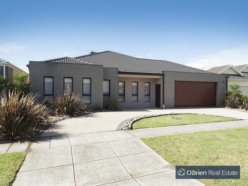 16 Prichard Avenue, Lynbrook, VIC 3975