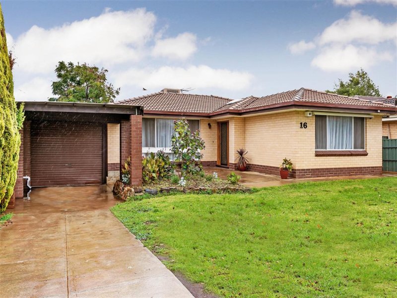 16 Dundee Road, Modbury, SA 5092