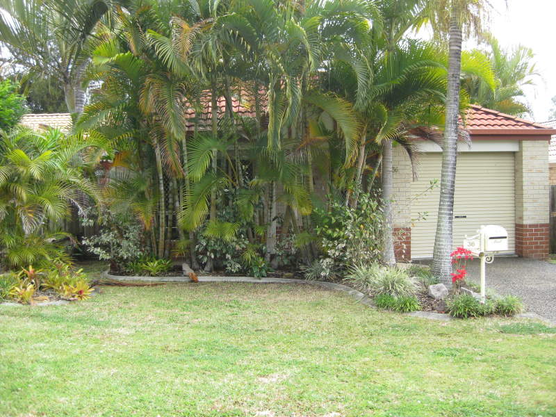 36 Timaru Cres, Eight Mile Plains, QLD 4113