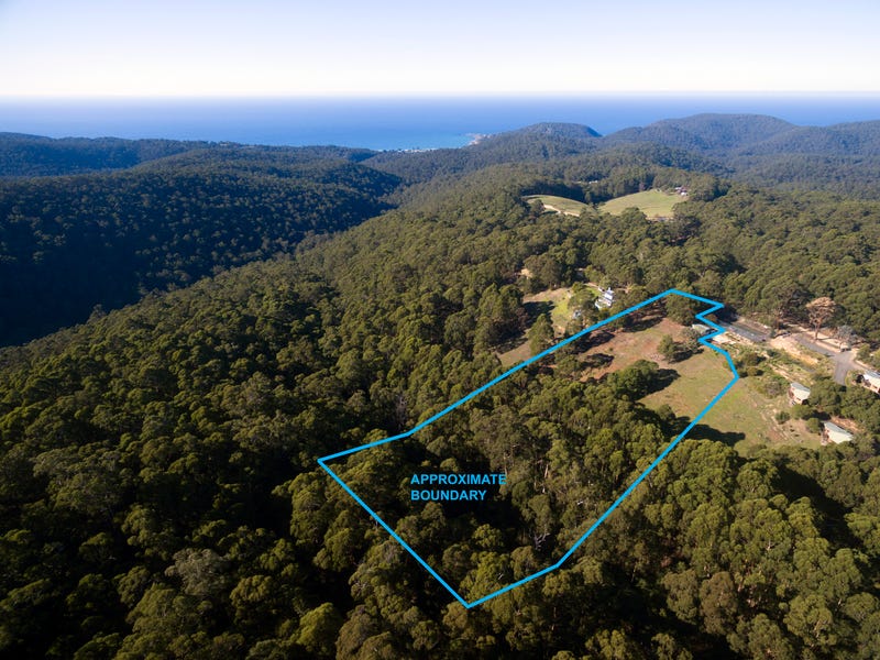 15 Cora Lynn Court, Lorne, VIC 3232