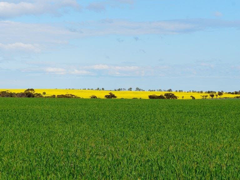 Property 7763169, Narembeen, WA 6369 Property Details