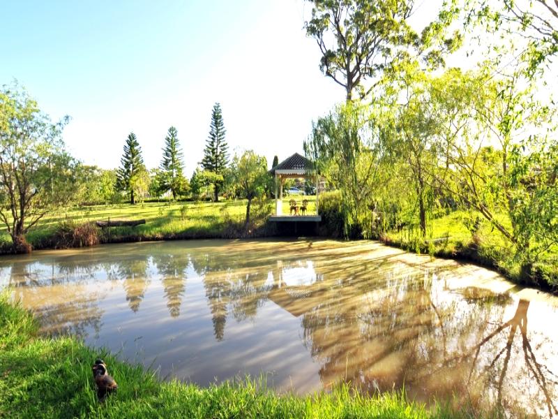 8 Walter Parade, Black Hill, NSW 2322