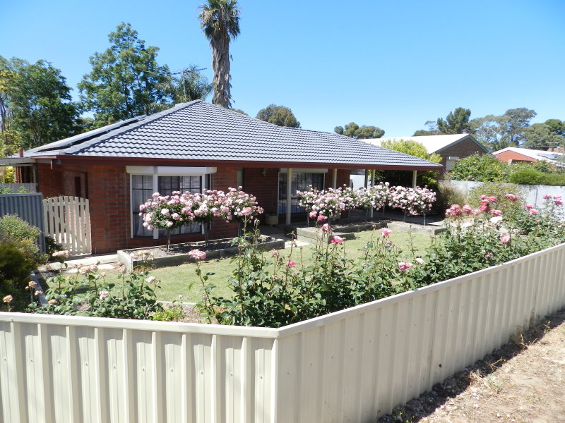 77A Mitchell Avenue, Murray Bridge East, SA 5253