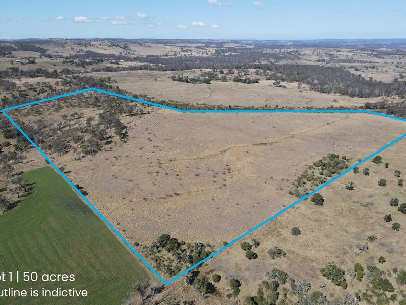 693 Haden Crows Nest Road, Plainby, Qld 4355 Livestock for Sale