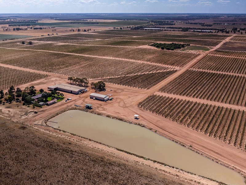 Wallaroo , 6830 Kidman Way, Coleambally, NSW 2707 Horticulture for