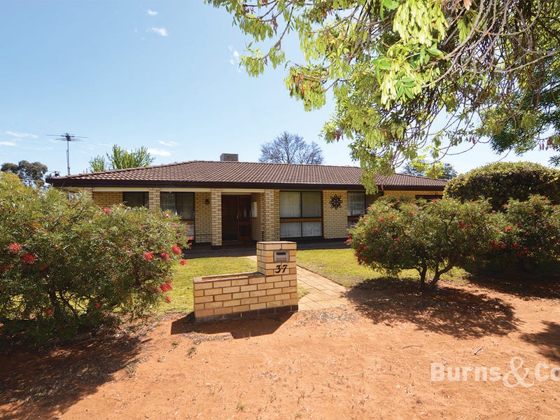 37 Avoca Street, Dareton, NSW 2717 Property Details