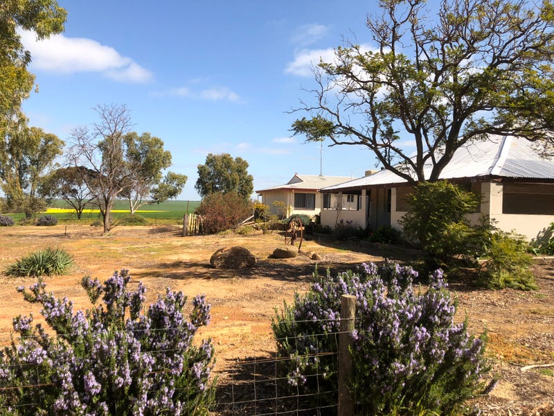 645 Goldfields Road, Wyalkatchem, WA 6485 Property Details