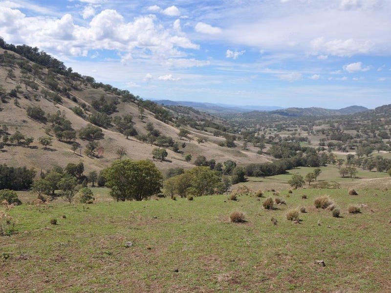 . "East Towarri", Kars Springs Rd, Scone, NSW 2337 Property Details