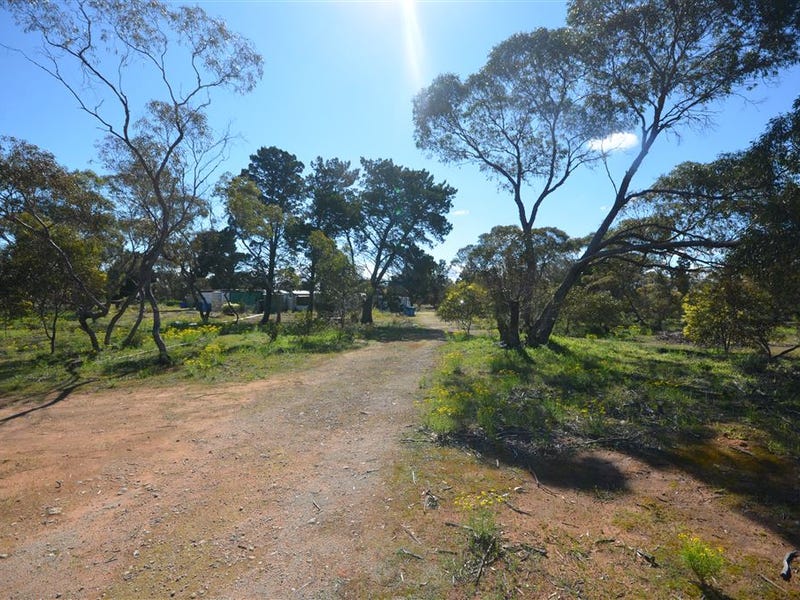 210 Westbrook Road, Tailem Bend, SA 5260