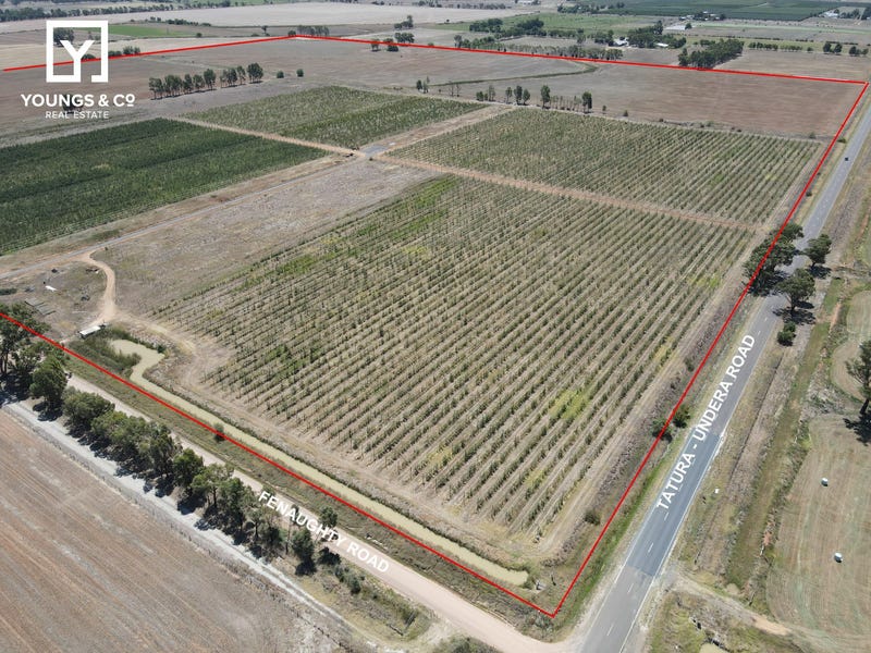 508 Fenaughty Road Tatura Vic 3616 Horticulture For Sale 508-fenaughty-road-tatura-vic-3616-horticulture-for-sale