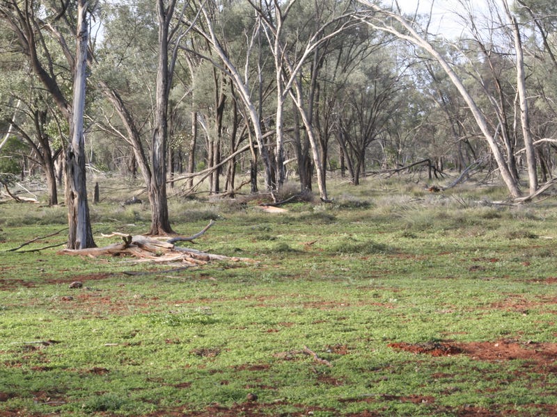 1153 Middle Creek Road, Langlo, Qld 4470 Property Details