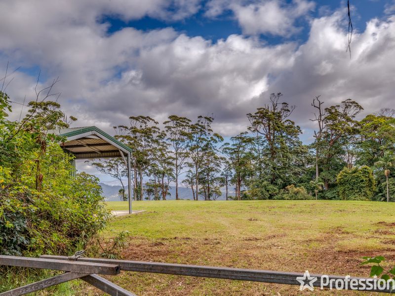 553569 Main Western Road, Tamborine Mountain, QLD 4272