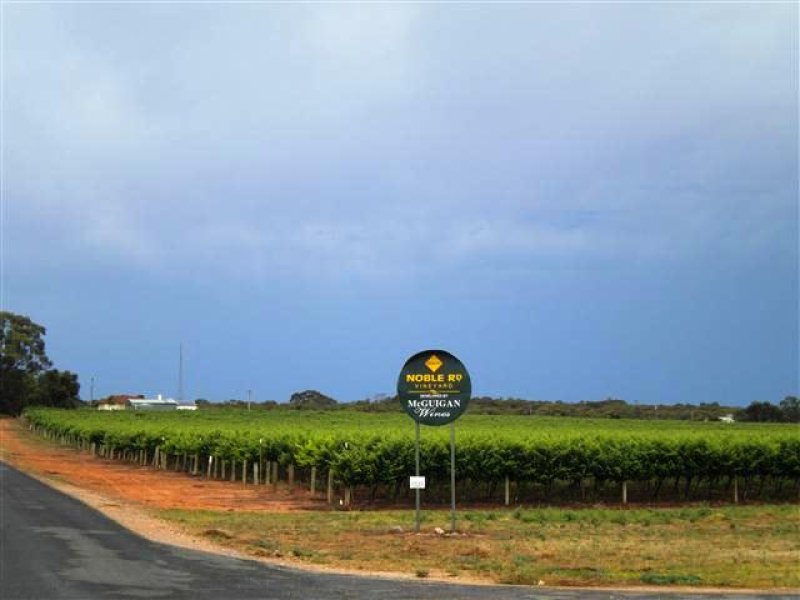 Noble Road Vineyard, Ballantine and Noble Road, Waikerie, SA 5330 Property Details