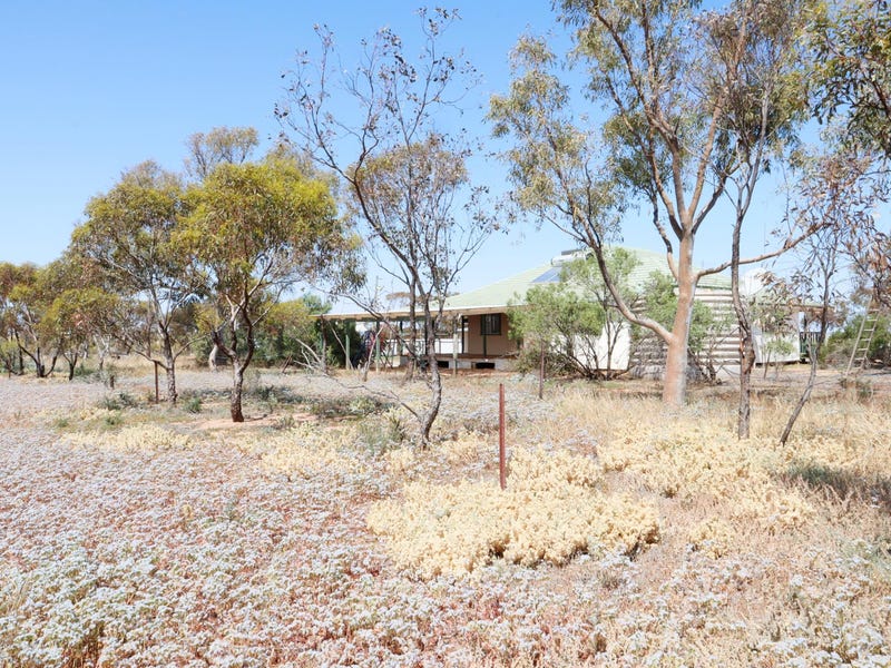 318 Arbuckle Road, Dalwallinu, WA 6609 Property Details