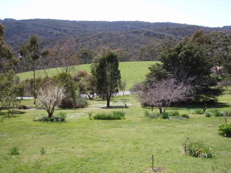 53 Teringie Drive, Teringie, SA 5072