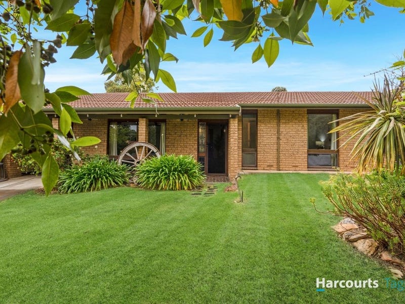 43 Longview Cres, O'halloran Hill, SA 5158
