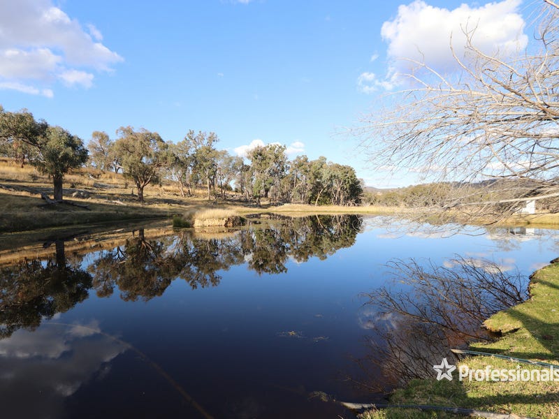 Real Estate & Property for Sale in Tingha, NSW 2369