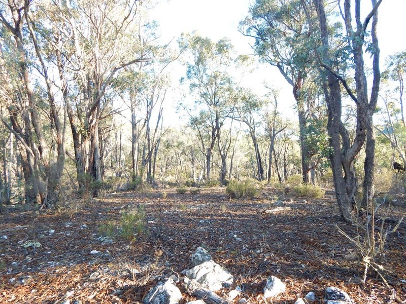 Lot 36, Good Good Fire Trail, Jerangle, NSW 2630 - Property Details