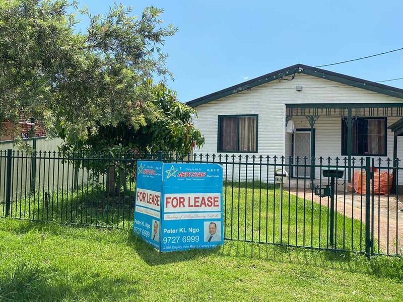 16 Avenel Street, Canley Vale, NSW 2166