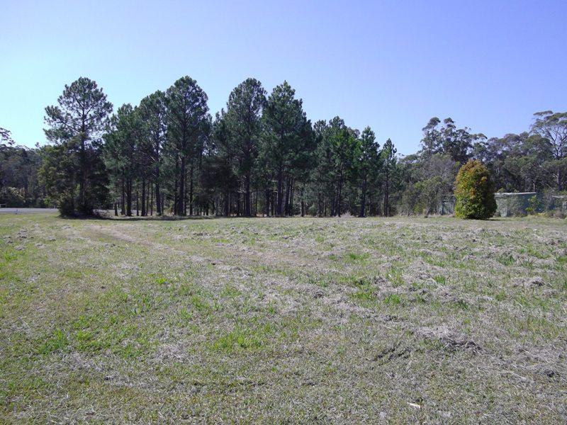 14 Teague Drive, South Kempsey, NSW 2440